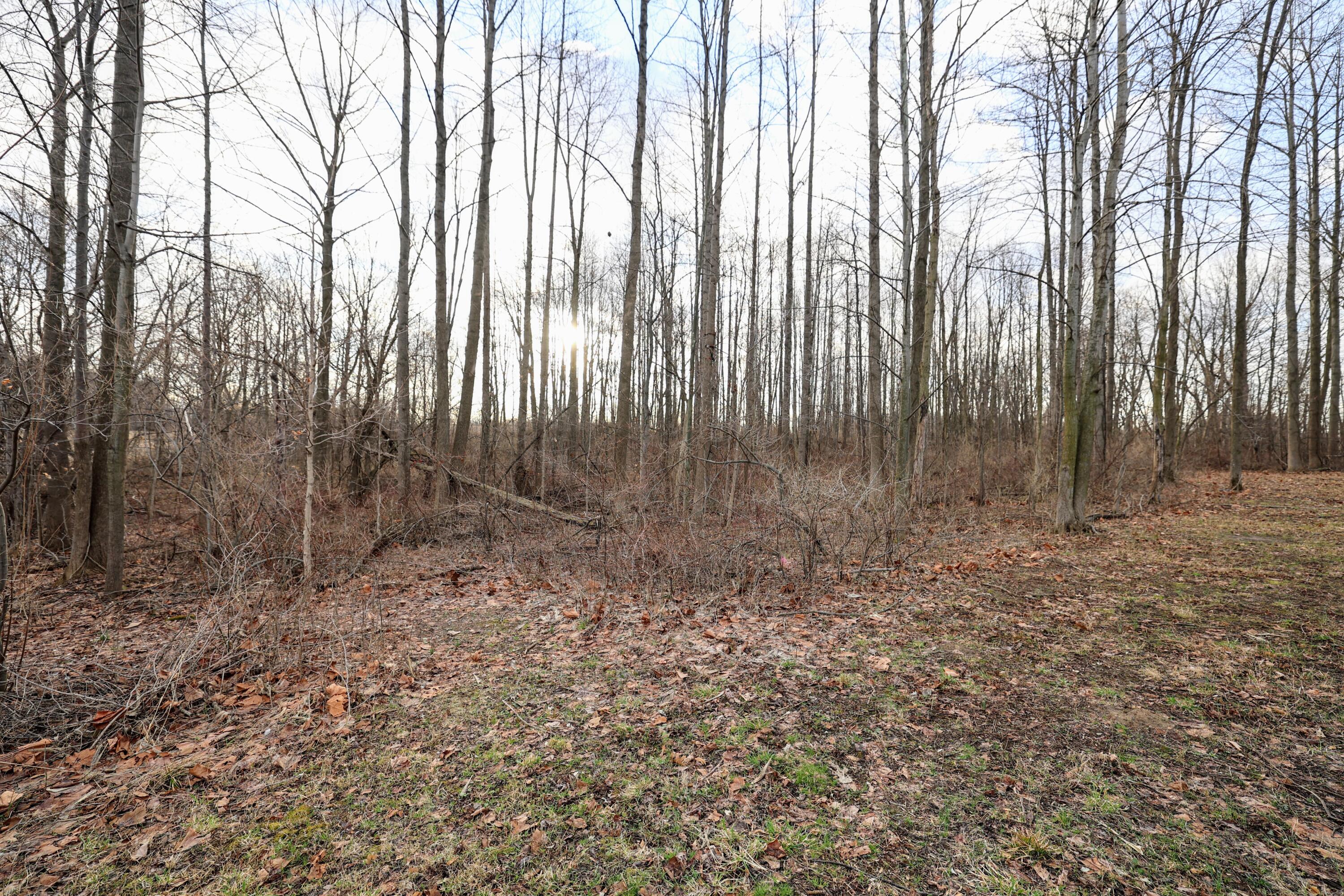 Vl West Glendora Road Buchanan, MI 49107 - Photo 35 of 55 35