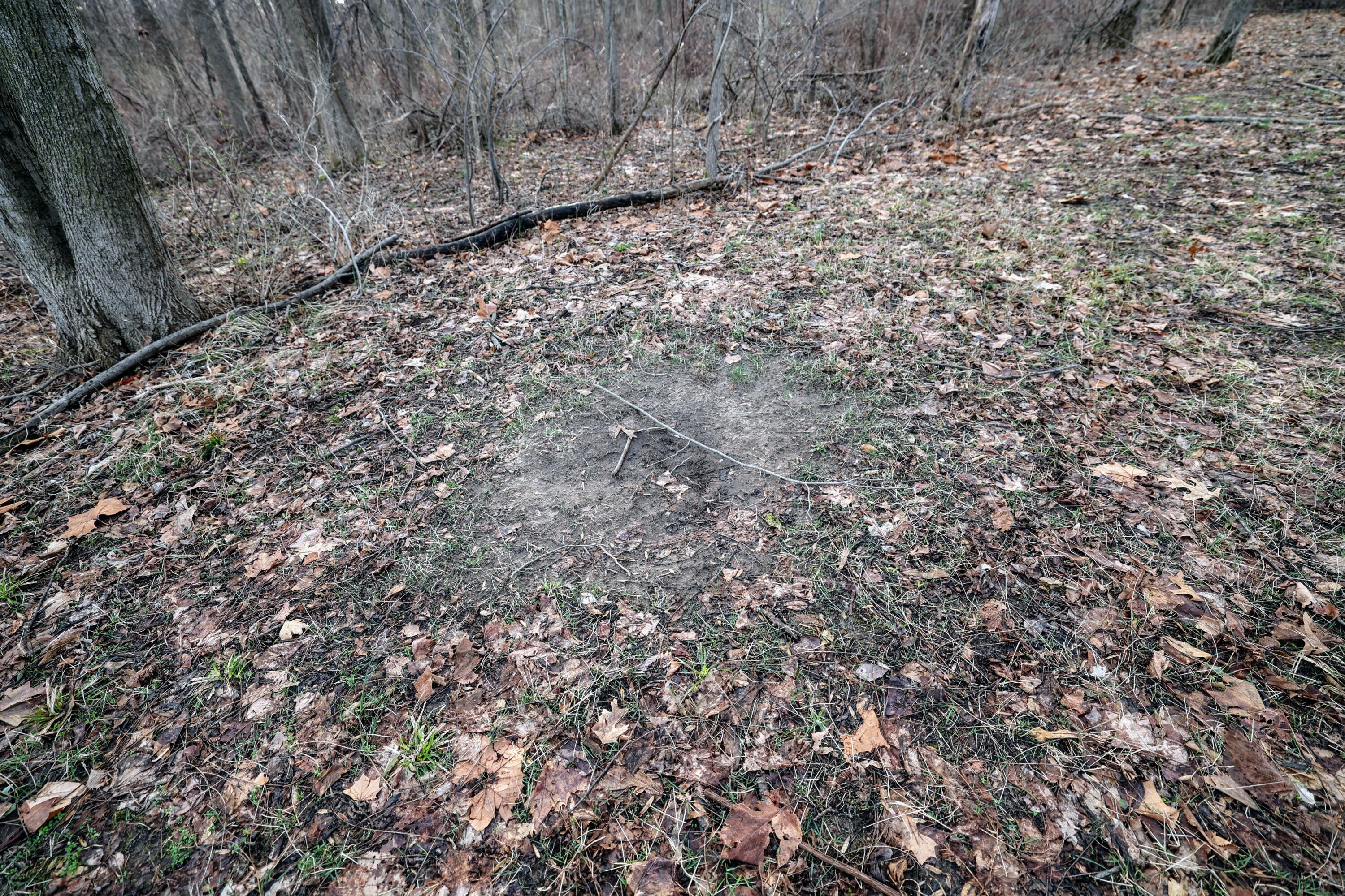 Vl West Glendora Road Buchanan, MI 49107 - Photo 37 of 55 37