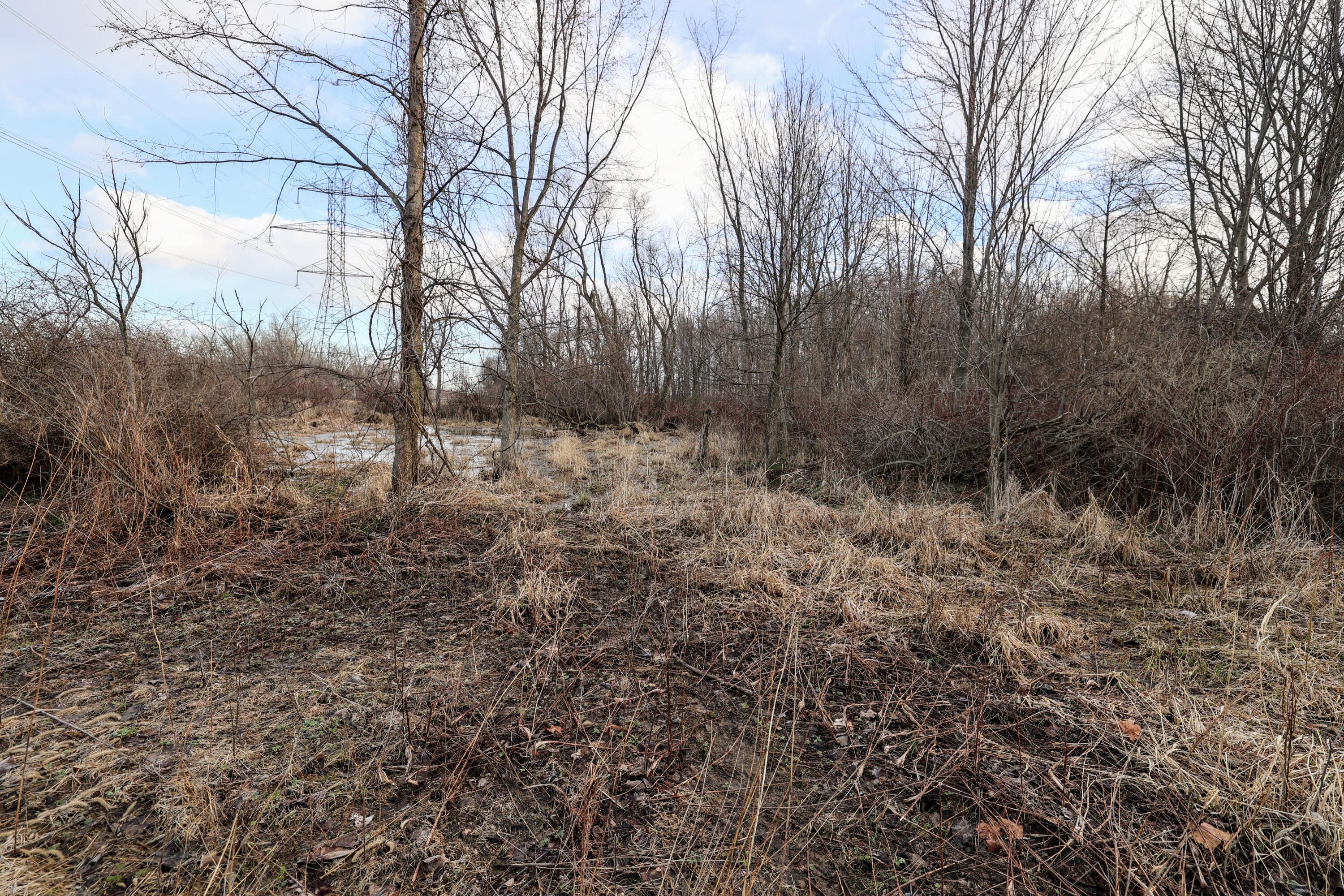 Vl West Glendora Road Buchanan, MI 49107 - Photo 38 of 55 38