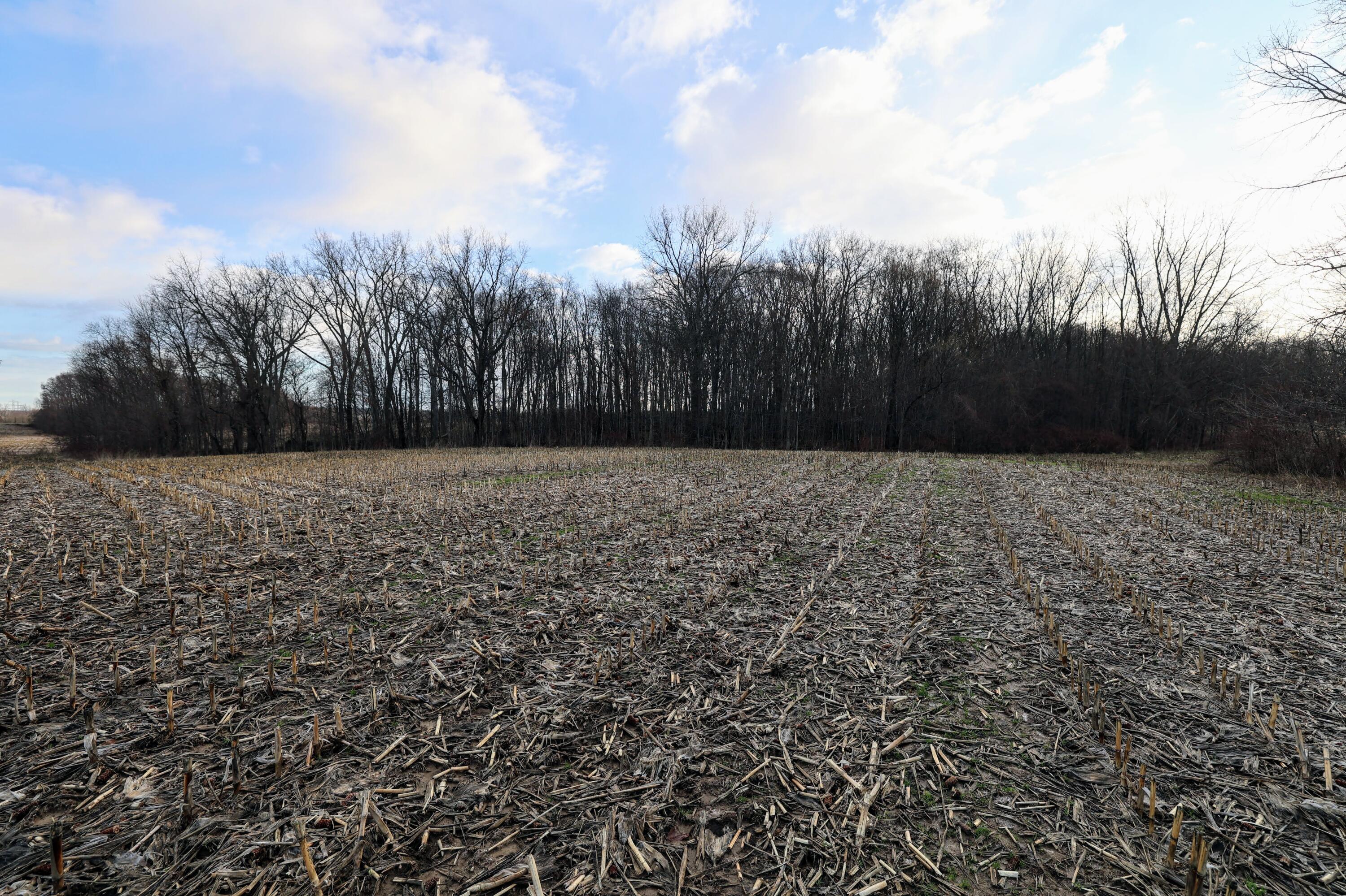 Vl West Glendora Road Buchanan, MI 49107 - Photo 39 of 55 39