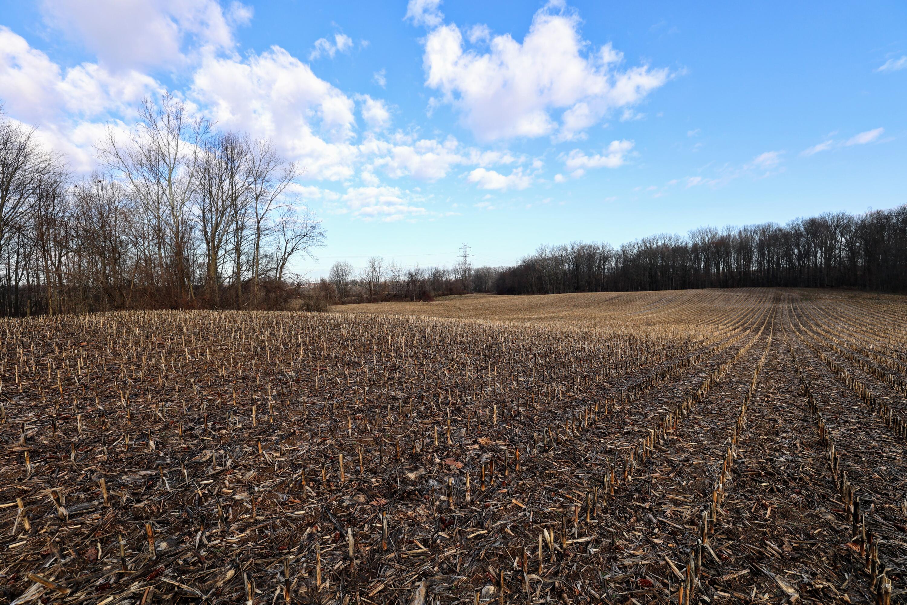 Vl West Glendora Road Buchanan, MI 49107 - Photo 4 of 55 4