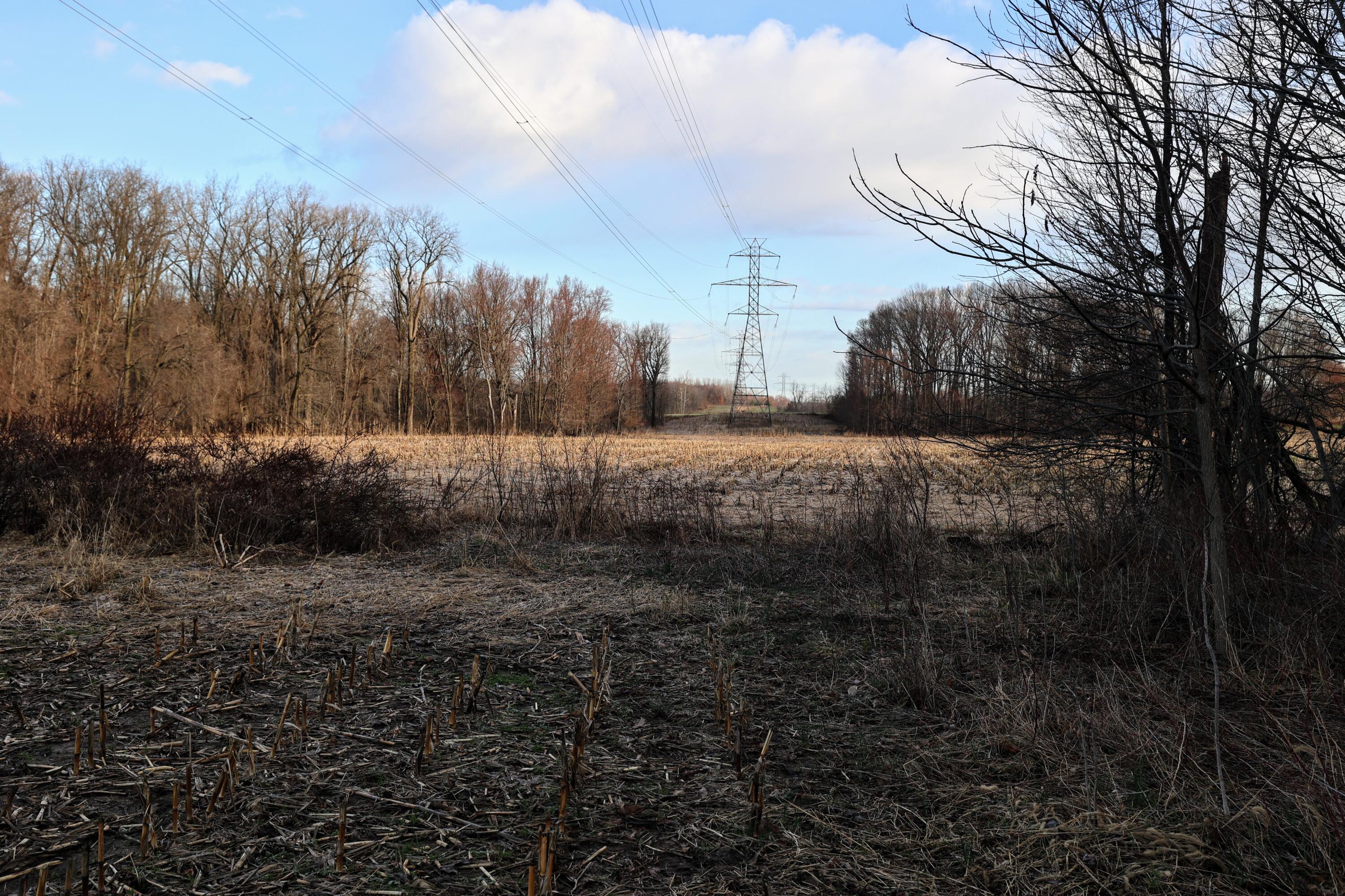 Vl West Glendora Road Buchanan, MI 49107 - Photo 41 of 55 41