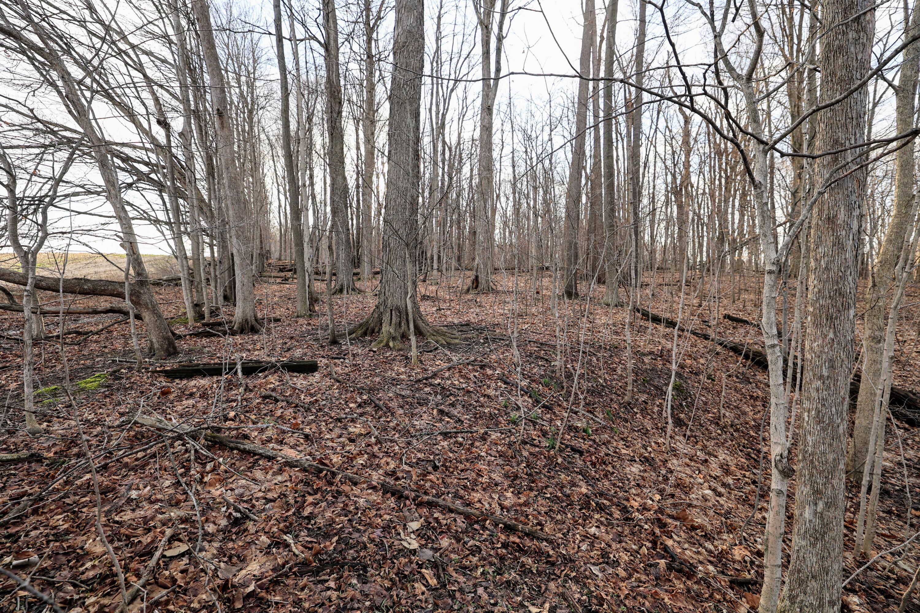 Vl West Glendora Road Buchanan, MI 49107 - Photo 45 of 55 45