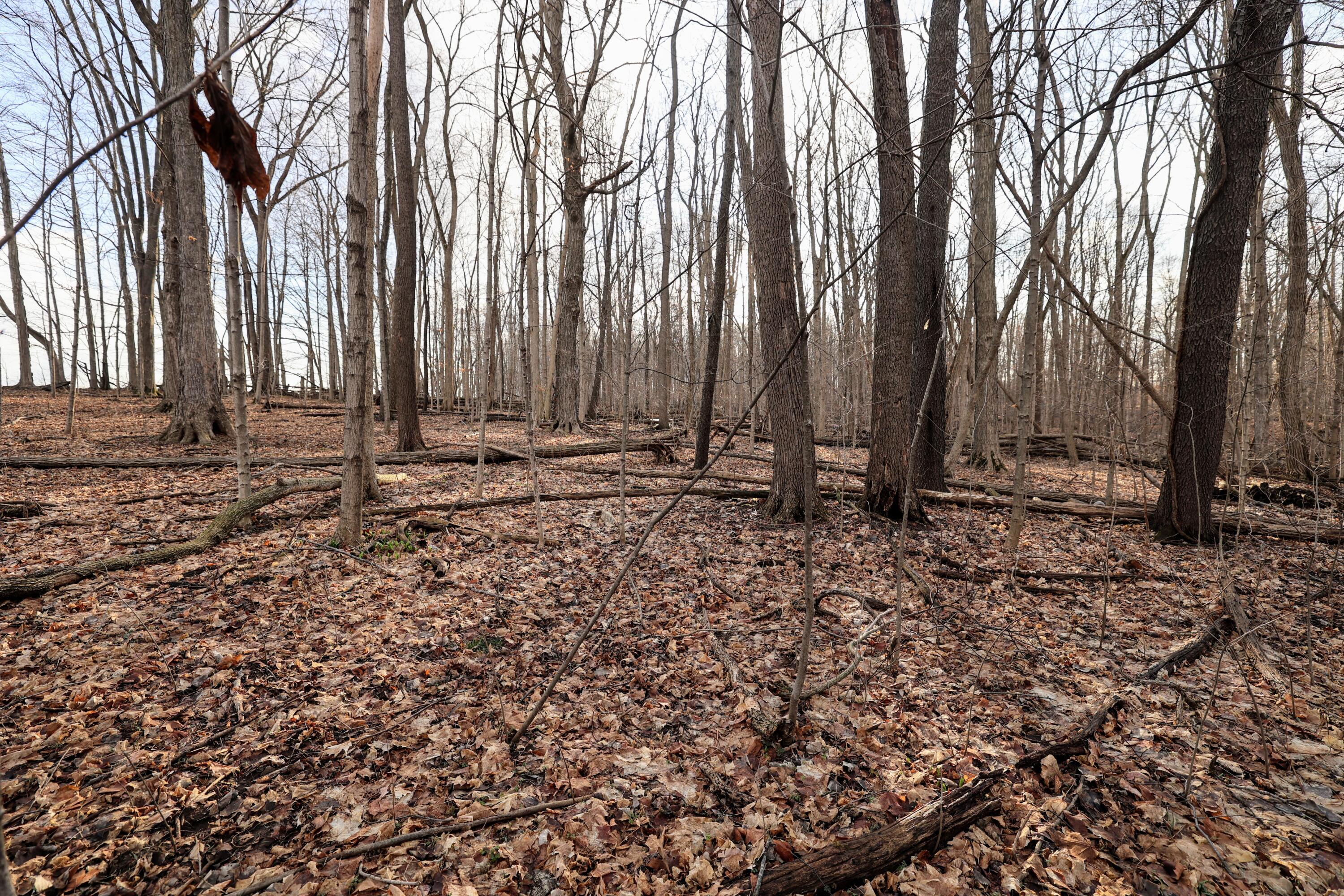 Vl West Glendora Road Buchanan, MI 49107 - Photo 46 of 55 46