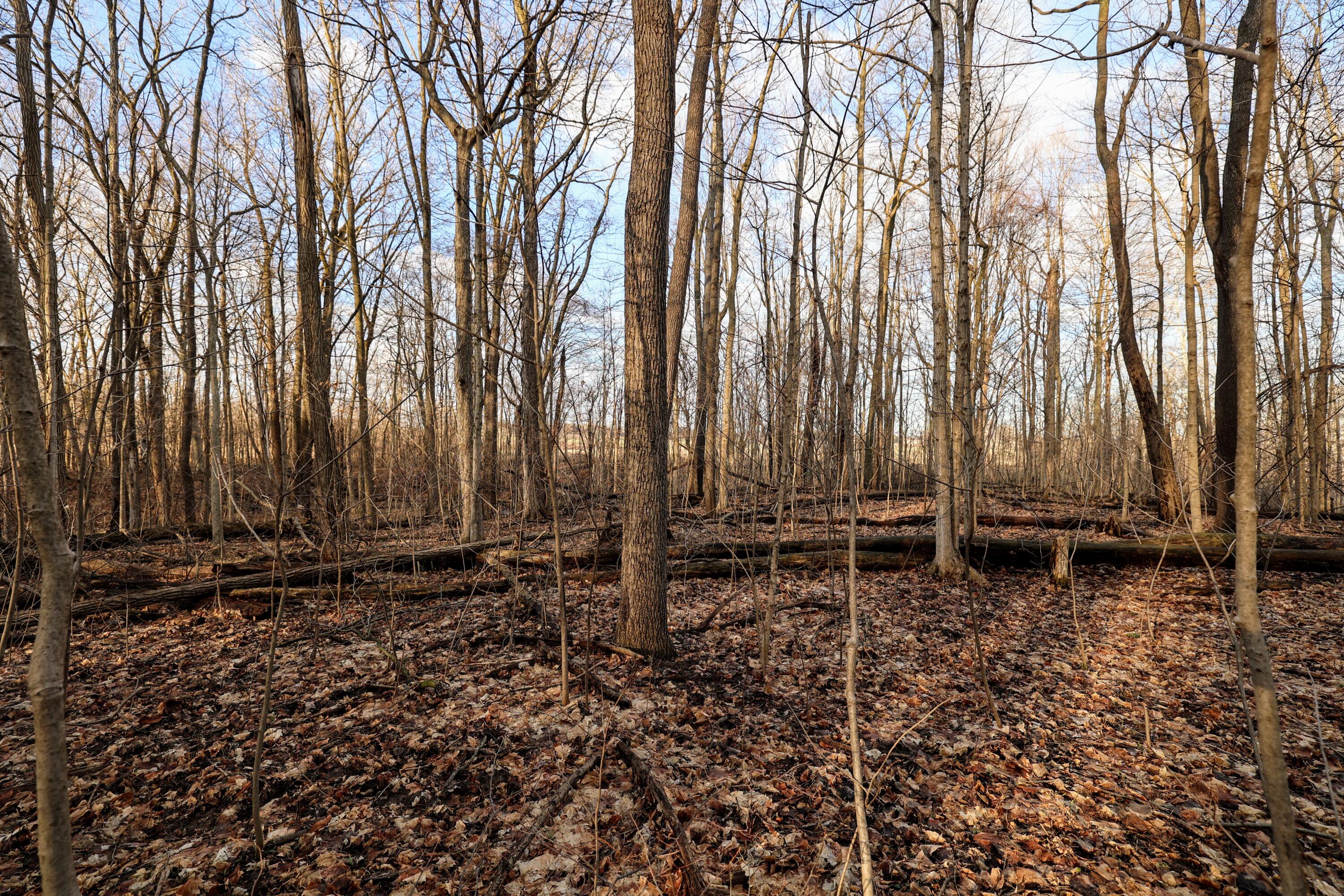 Vl West Glendora Road Buchanan, MI 49107 - Photo 47 of 55 47