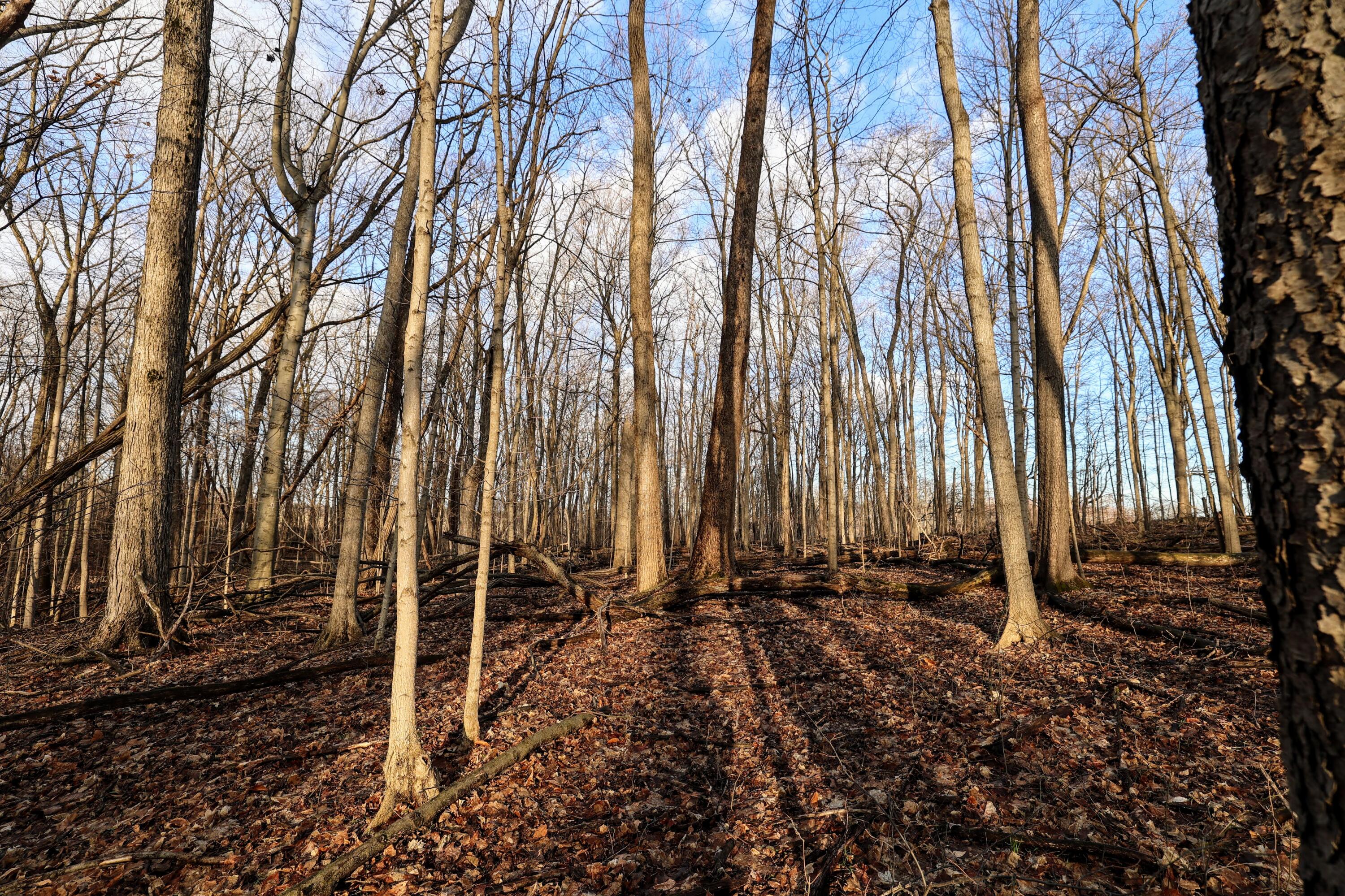 Vl West Glendora Road Buchanan, MI 49107 - Photo 49 of 55 49