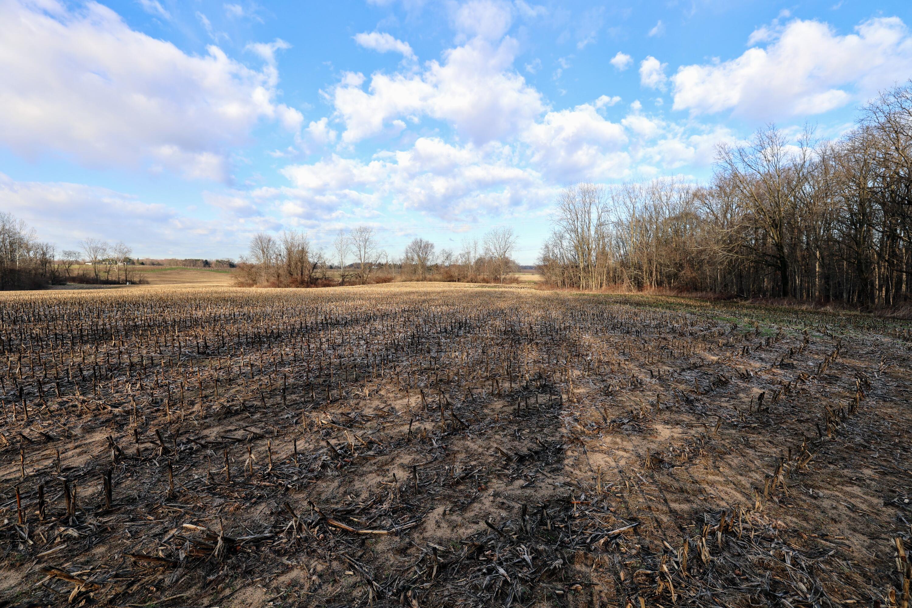 Vl West Glendora Road Buchanan, MI 49107 - Photo 52 of 55 52