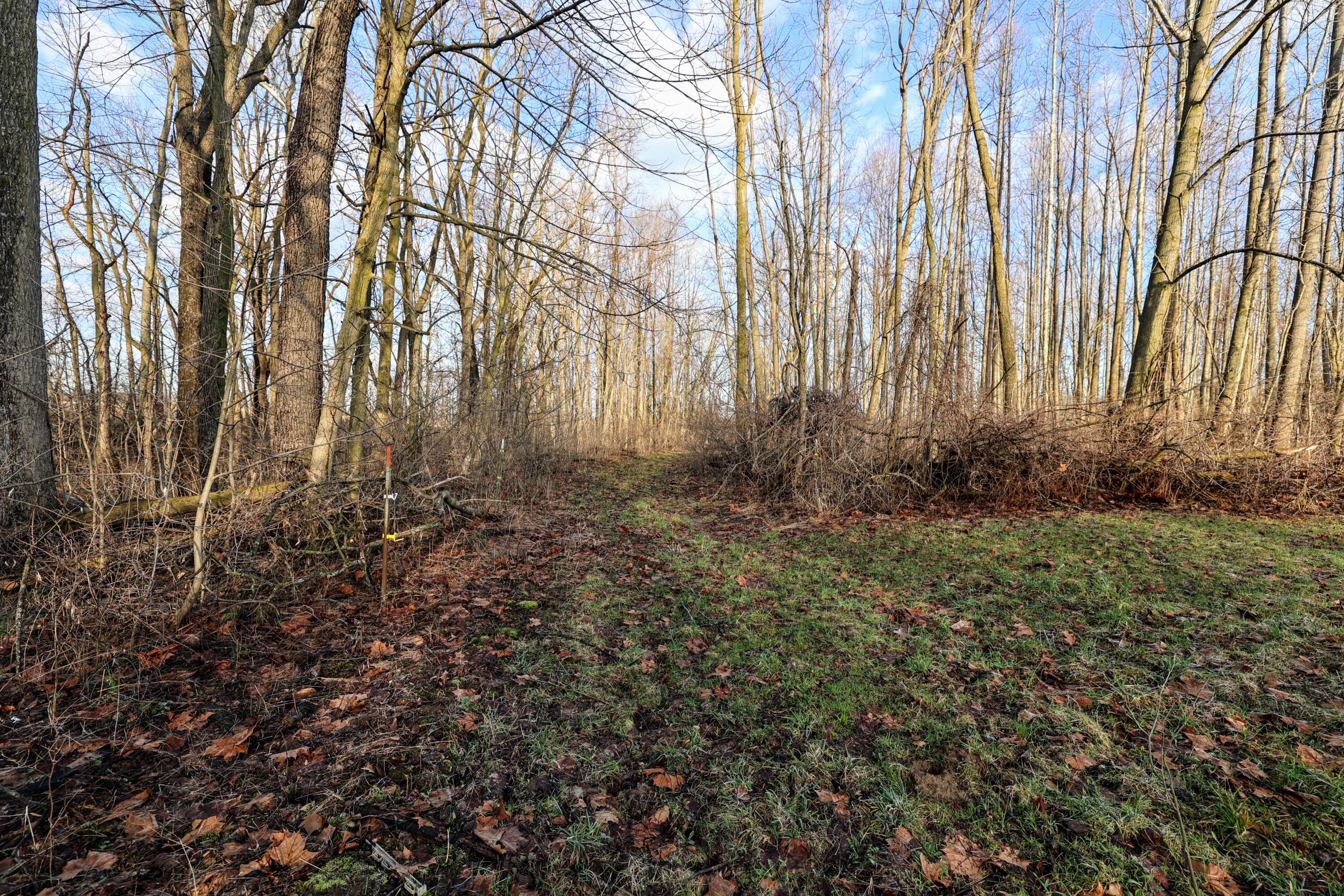 Vl West Glendora Road Buchanan, MI 49107 - Photo 53 of 55 53