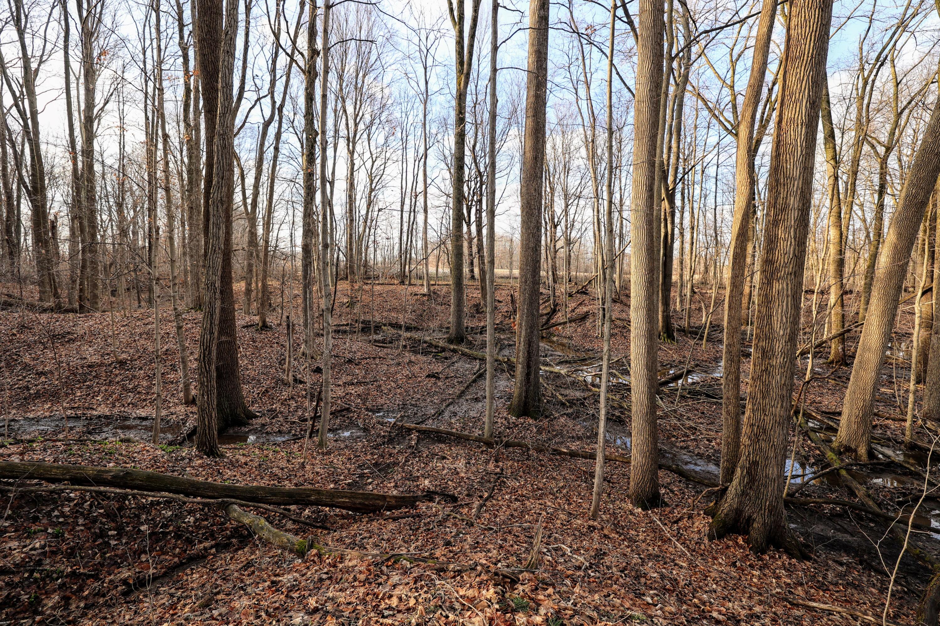 Vl West Glendora Road Buchanan, MI 49107 - Photo 6 of 55 6