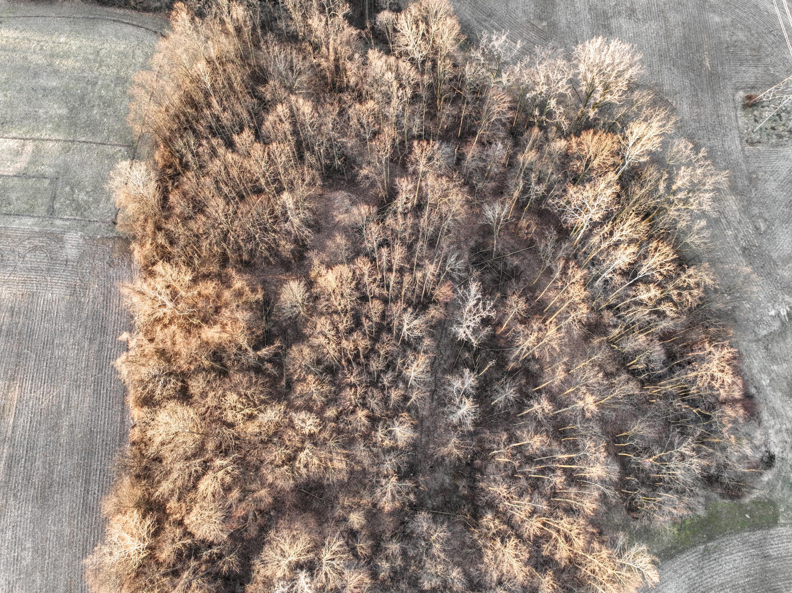 Vl West Glendora Road Buchanan, MI 49107 - Photo 8 of 55 8