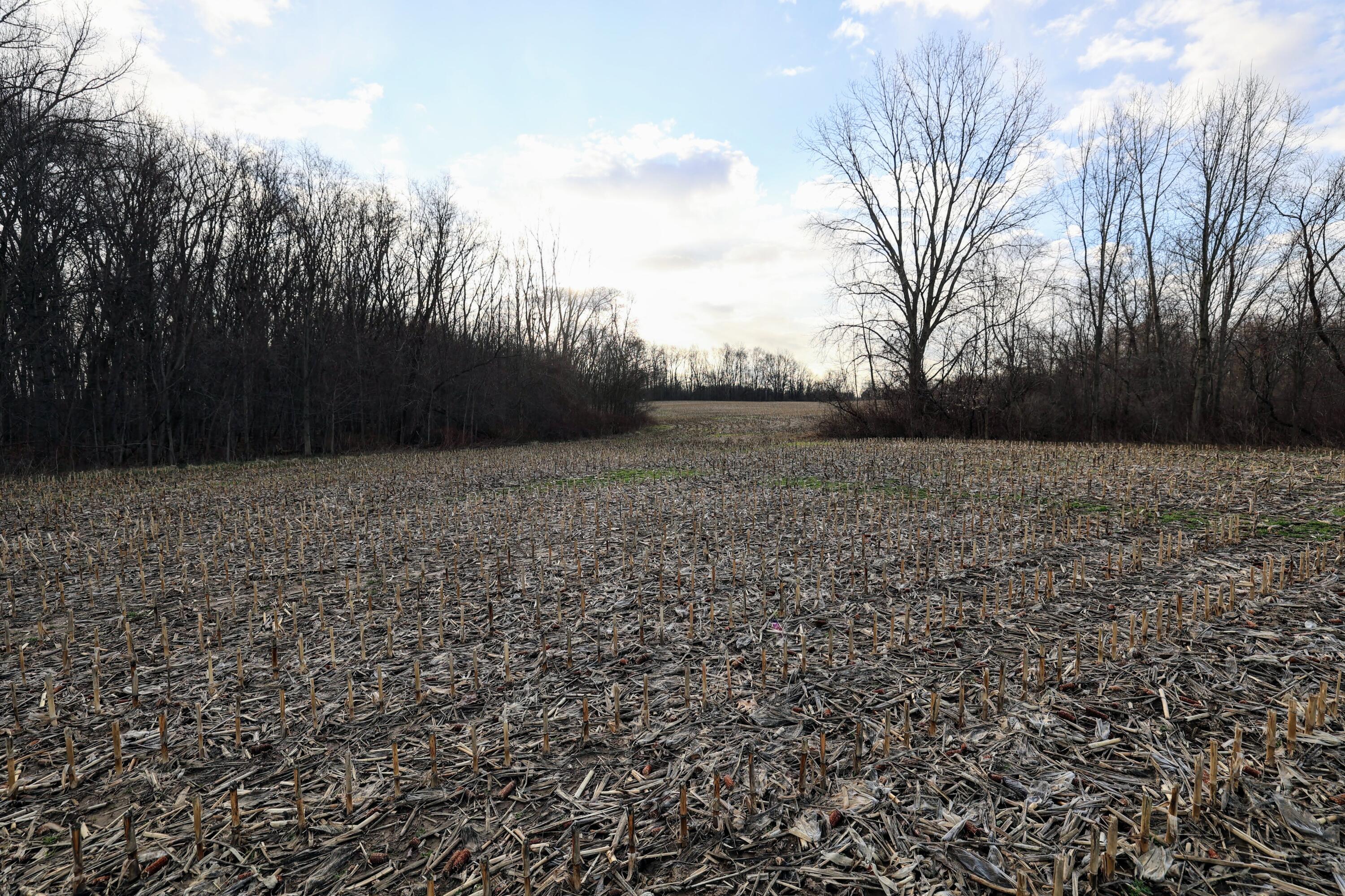 Vl West Glendora Road Buchanan, MI 49107 - Photo 9 of 55 9