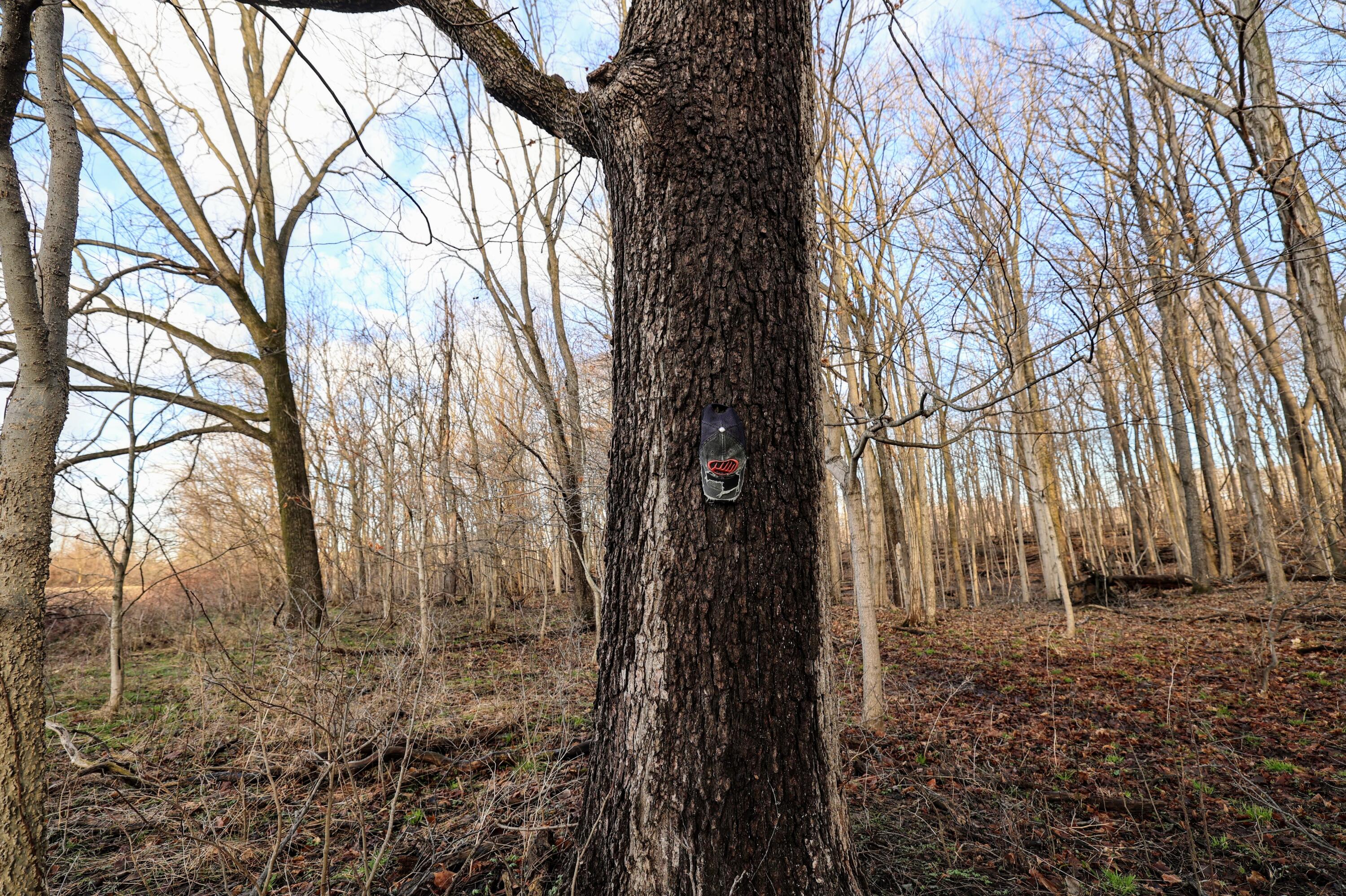 Vl West Glendora Road Buchanan, MI 49107 - Photo 10 of 55 10