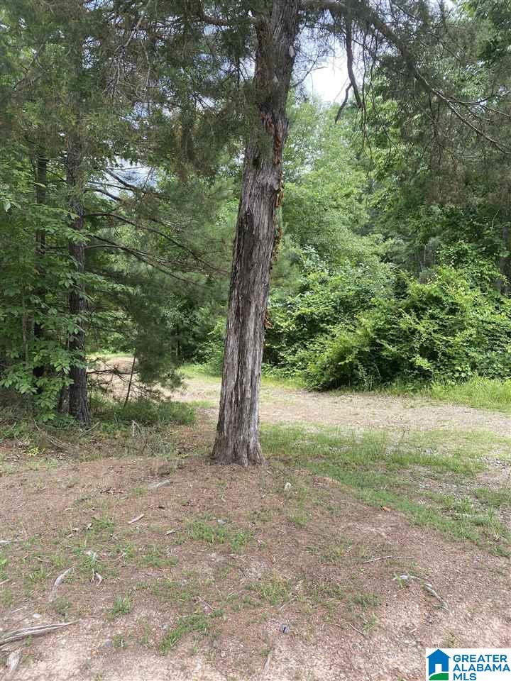 1156 Bruce Shaw Road, Unit 3C & 3D Adger, AL 35006 - Photo 6 of 8