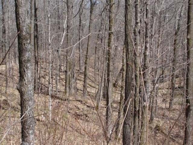On On Clausen Road Prentice, WI 54556 - Photo 7 of 14 Gallery Image 7
