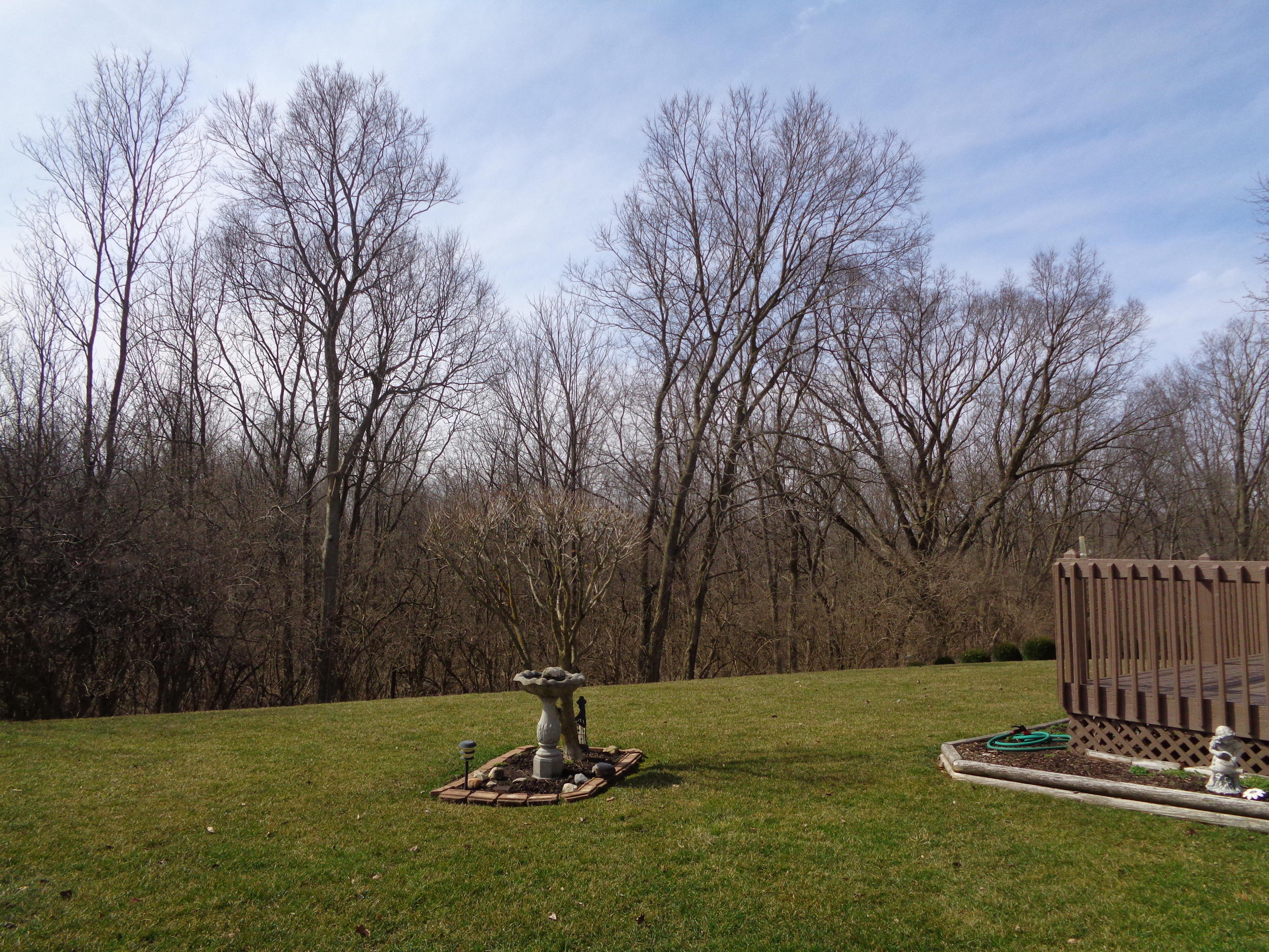 1283 Ryan Road Springfield, OH 45503 - Photo 31 of 39