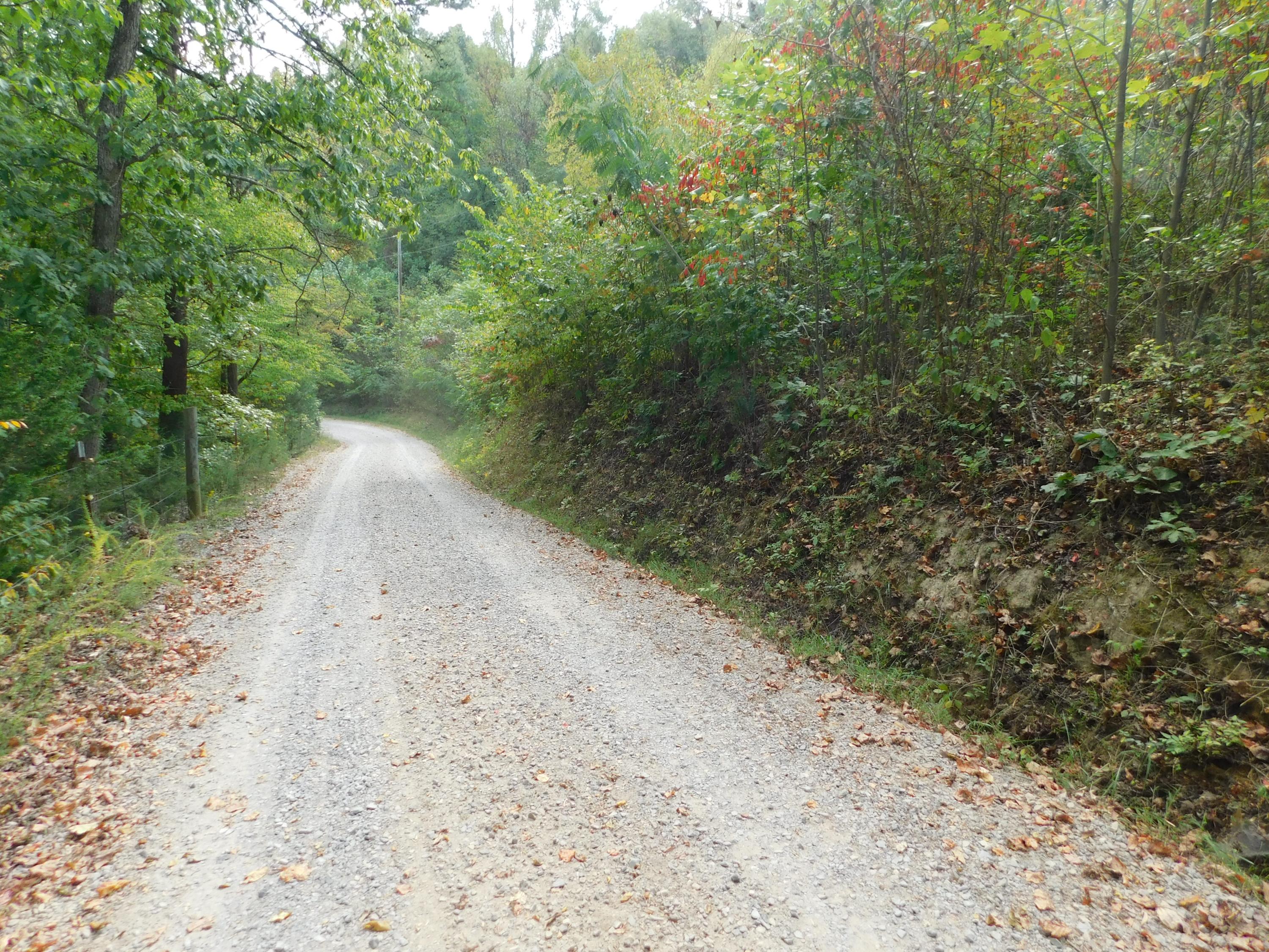 Lot 6 Halls Cemetery Road Newport, TN 37821 - Photo 2 of 2 Country Gravel Rd to property