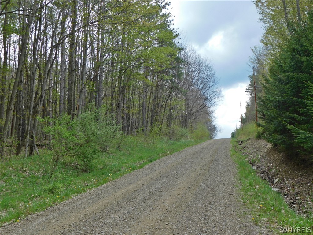 9705 White Meeting House Road Cuba, NY 14727 - Photo 4 of 25