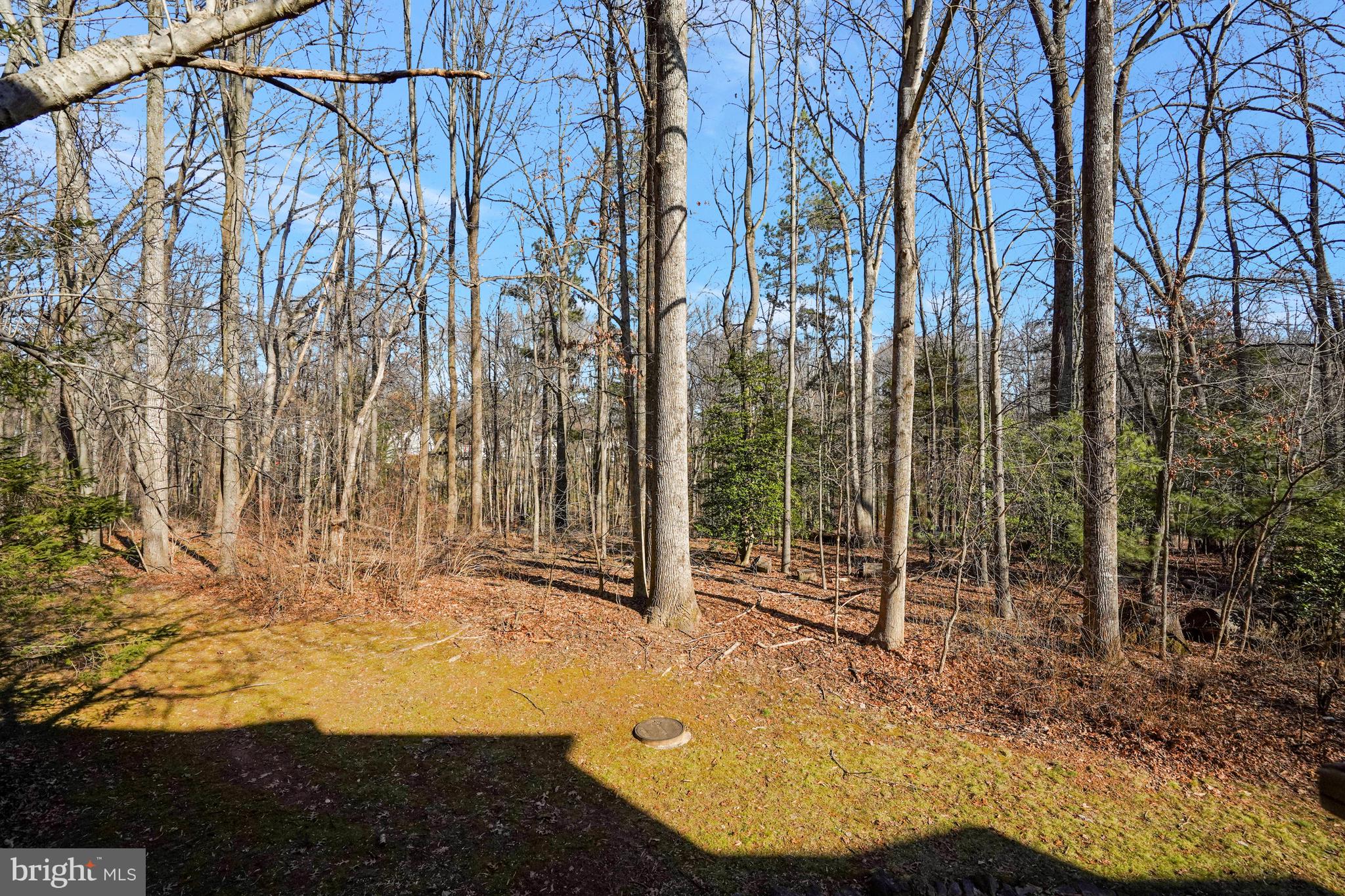 1515 Inlet Court Reston, VA 20190 - Photo 46 of 51 A view from the main level deck.