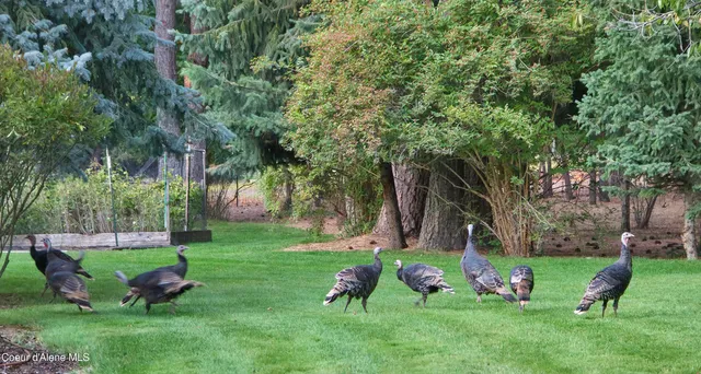 $749,900 | 16691 West Hollister Hills Drive, Post Falls, ID 83854