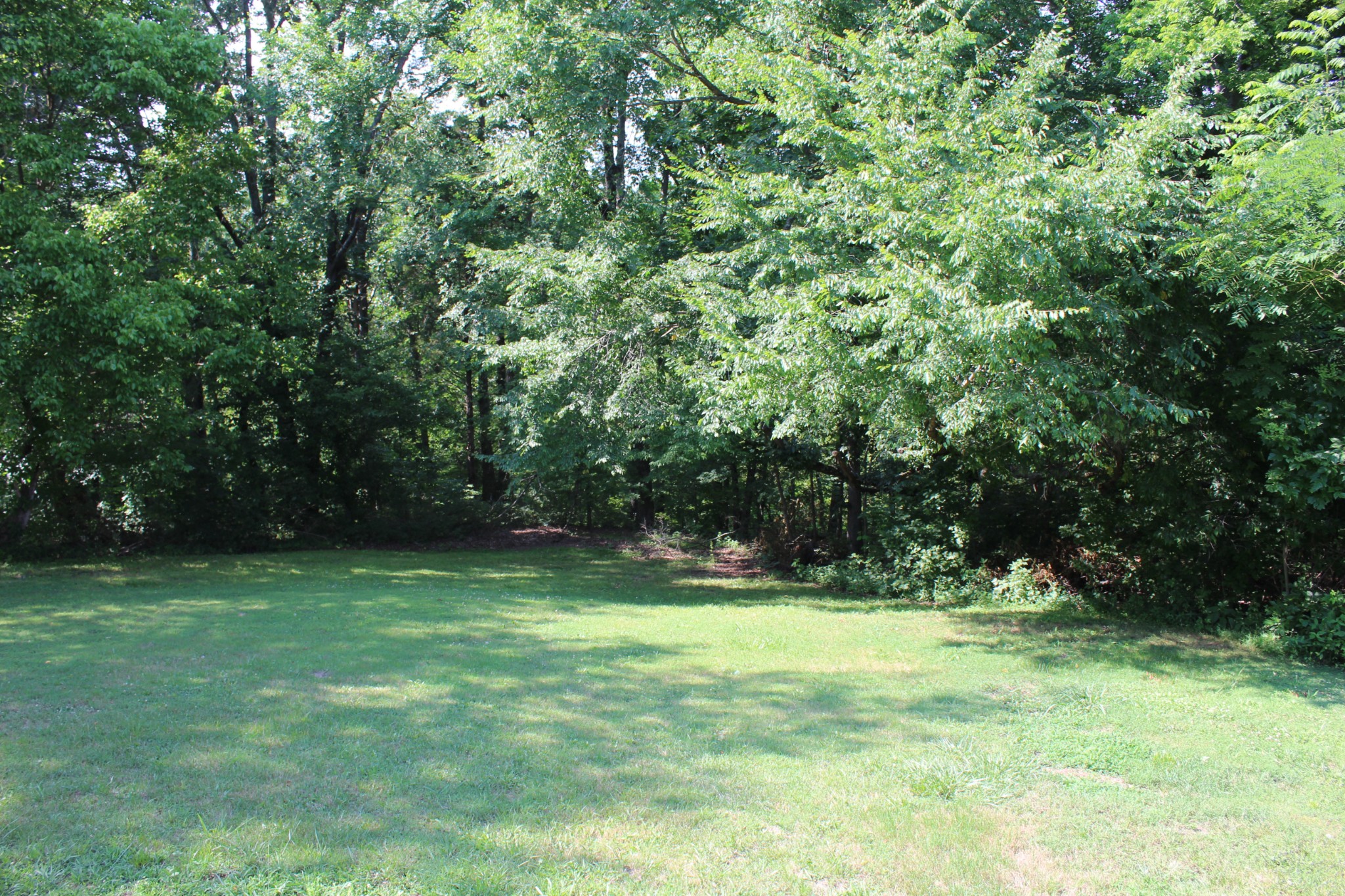 1275 Herman Adams Road Cumberland City, TN 37050 - Photo 18 of 25 a view of outdoor space with a garden and trees