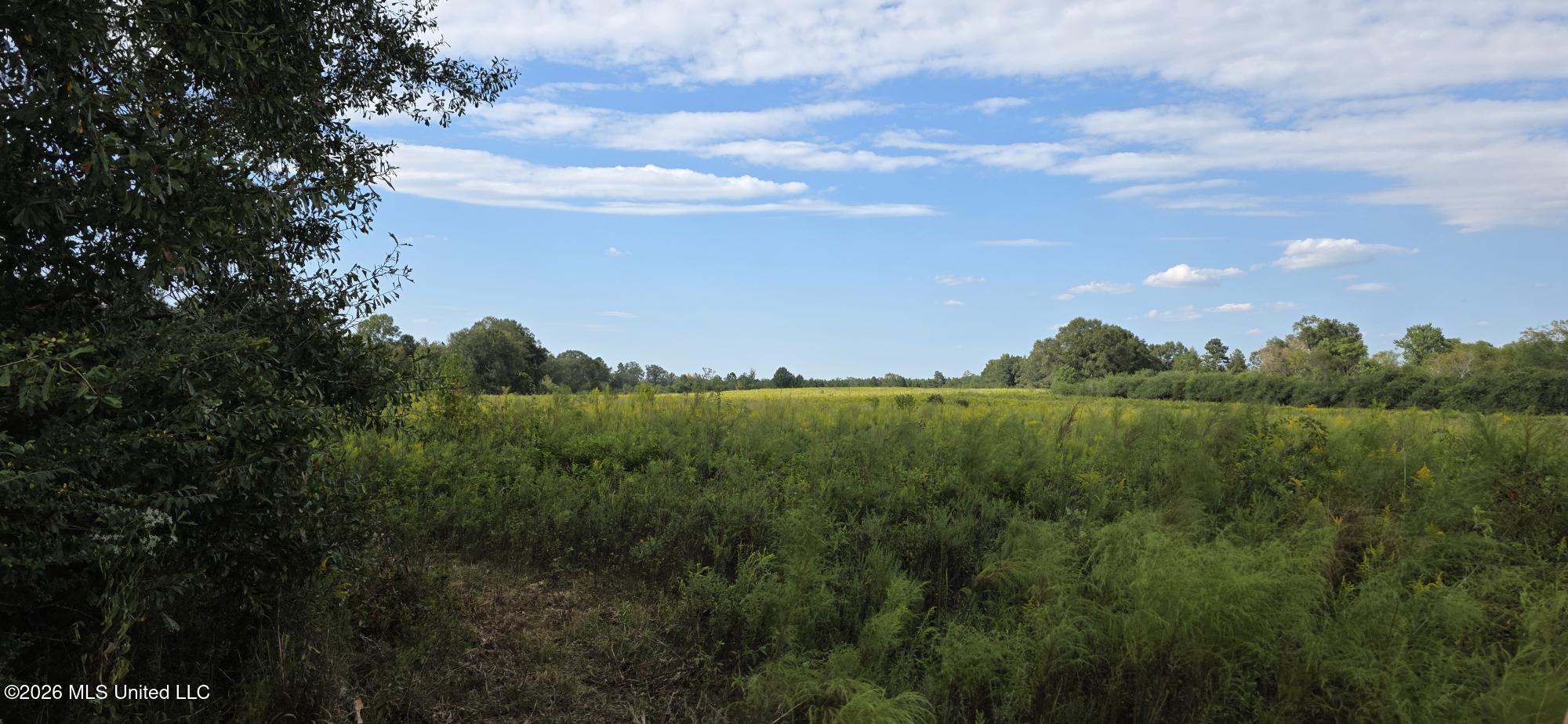 1107 Charlie Rhodus Road Magnolia, MS 39652 - Photo 12 of 18 20260928_155512