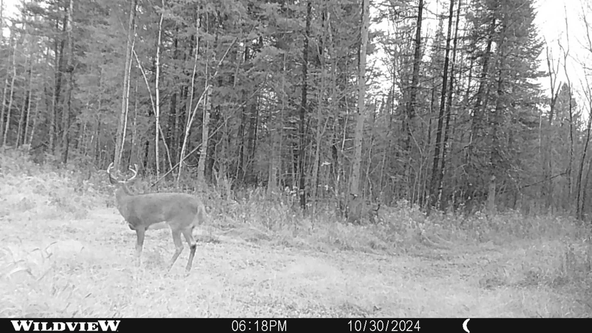 76557 Deringer Road Glidden, WI 54527 - Photo 28 of 50 Gallery Image 28