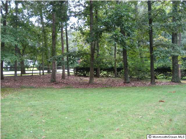 397 Leesville Road Jackson, NJ 08527 - Photo 4 of 18 a view of a park with large trees