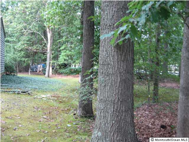 397 Leesville Road Jackson, NJ 08527 - Photo 5 of 18 a view of a trees in a yard