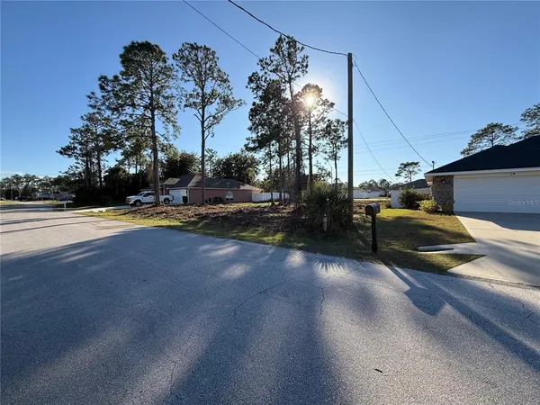 a view of swimming pool with lawn chairs and plants