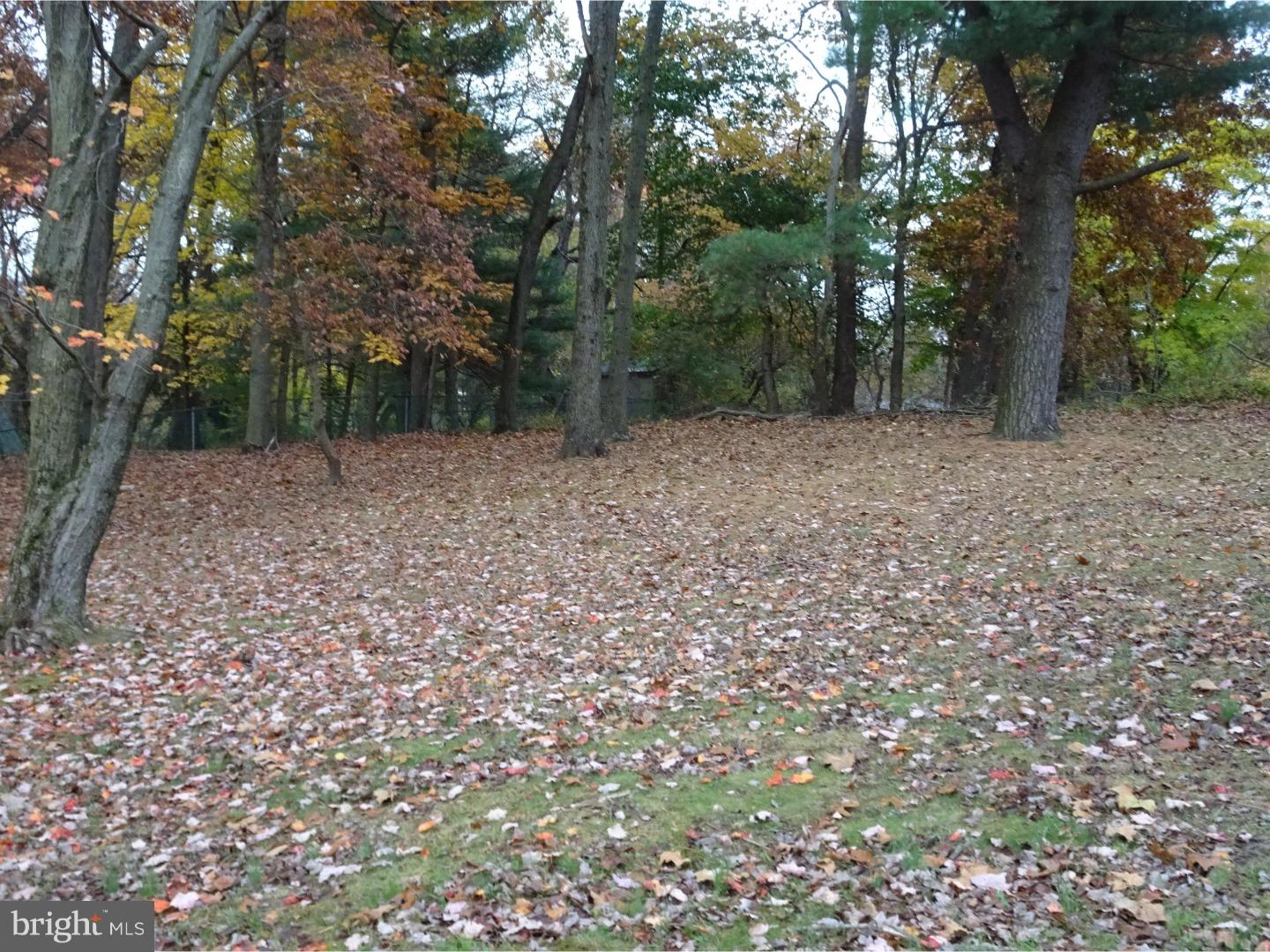 105 Deerfield Road Broomall, PA 19008 - Photo 5 of 25 Back Yard