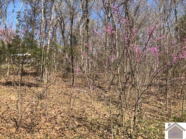 0 Lands End Road, Unit 93T Cadiz, KY 42211 - Photo 1 of 1 Photo 1