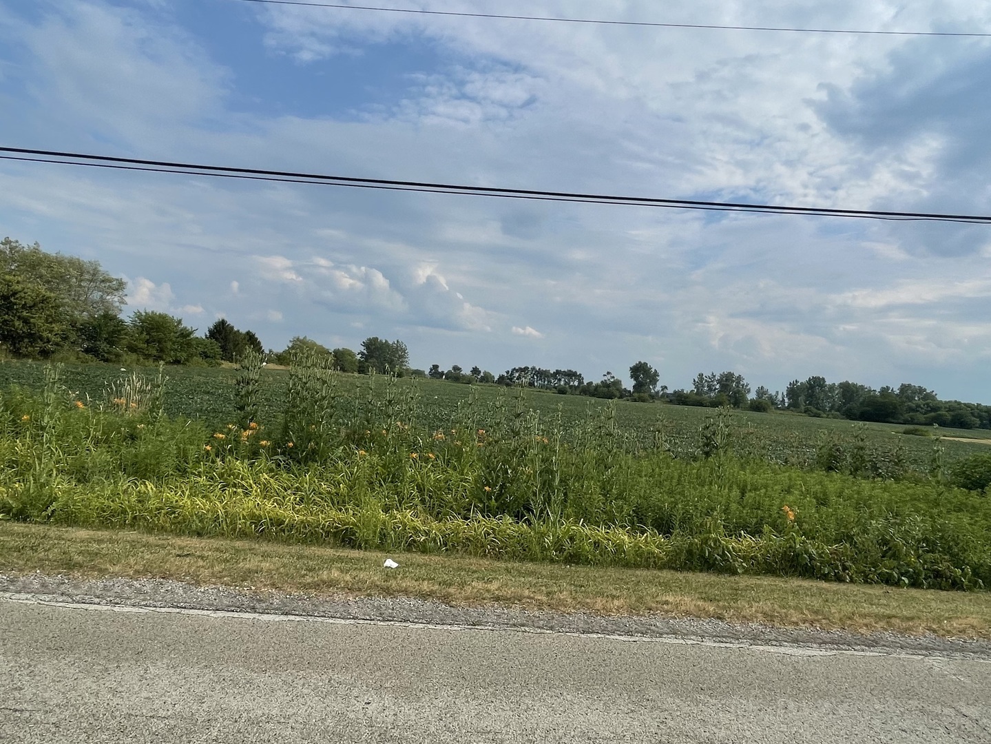 0 West Eagle Lake Road Beecher, IL 60401 - Photo 9 of 10