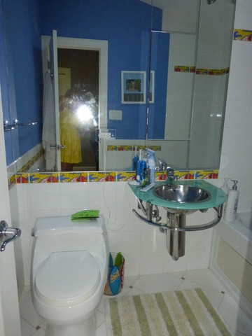 2928 Covert Road Glenview, IL 60025 - Photo 20 of 23 a bathroom with a sink and a mirror