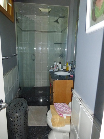 2928 Covert Road Glenview, IL 60025 - Photo 21 of 23 a bathroom with a sink toilet and shower