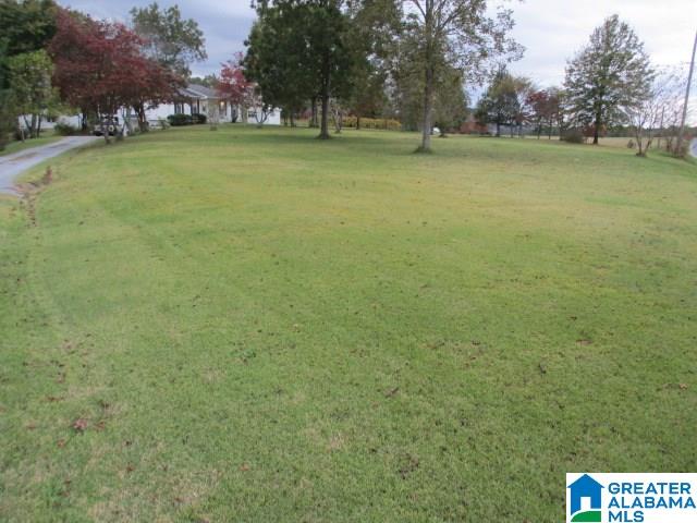 1024 Highway 12 Oneonta Al Oneonta, AL 35121 - Photo 5 of 14