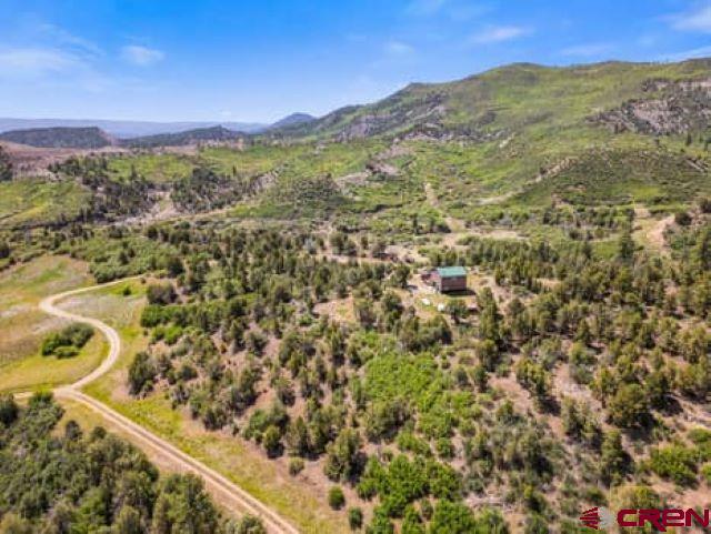 1350 Lion Road Durango, CO 81303 - Photo 13 of 31 a view of a city