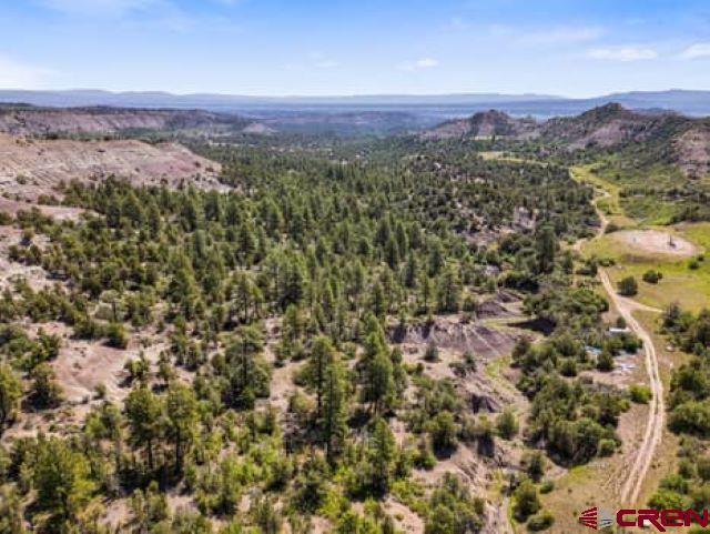 1350 Lion Road Durango, CO 81303 - Photo 16 of 31 view of a city with mountain
