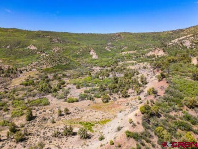 1350 Lion Road Durango, CO 81303 - Photo 18 of 31 a view of a field with an ocean