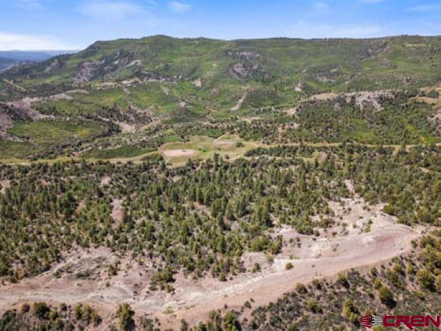 1350 Lion Road Durango, CO 81303 - Photo 19 of 31 a view of a field with mountains in the background
