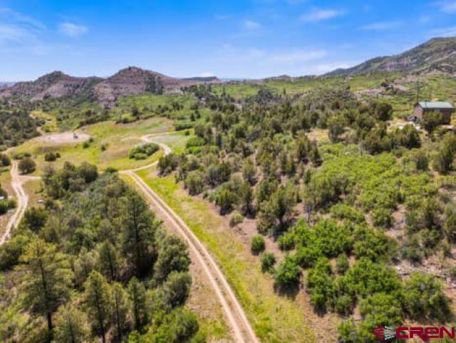 1350 Lion Road Durango, CO 81303 - Photo 21 of 31 a view of a mountain from a balcony