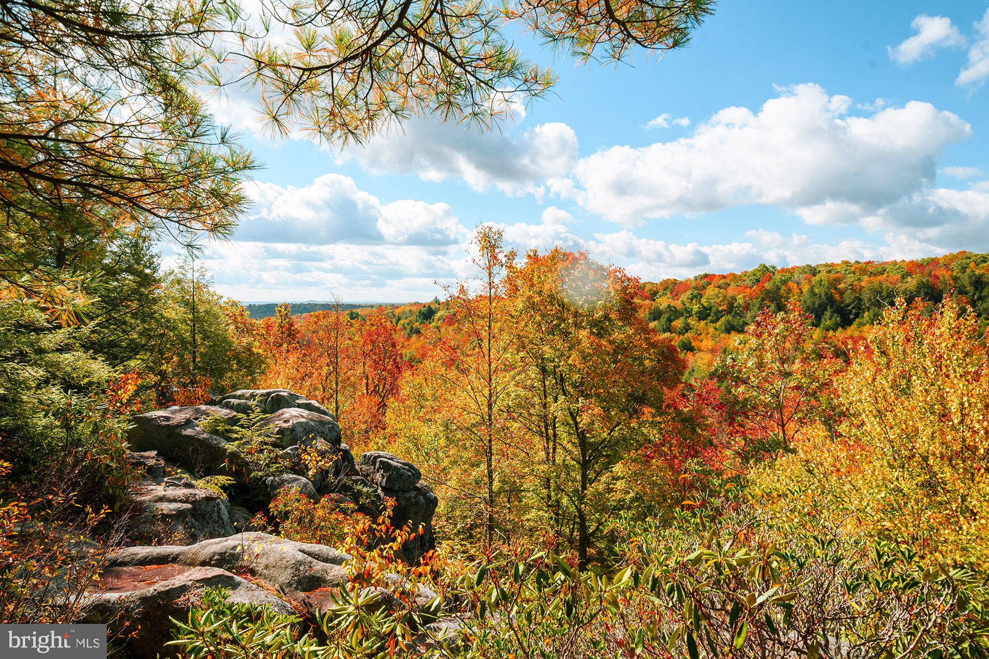 27 Gobbler Run Road Oakland, MD 21550 - Photo 14 of 24 Autumn's vibrant tapestry unfolds.