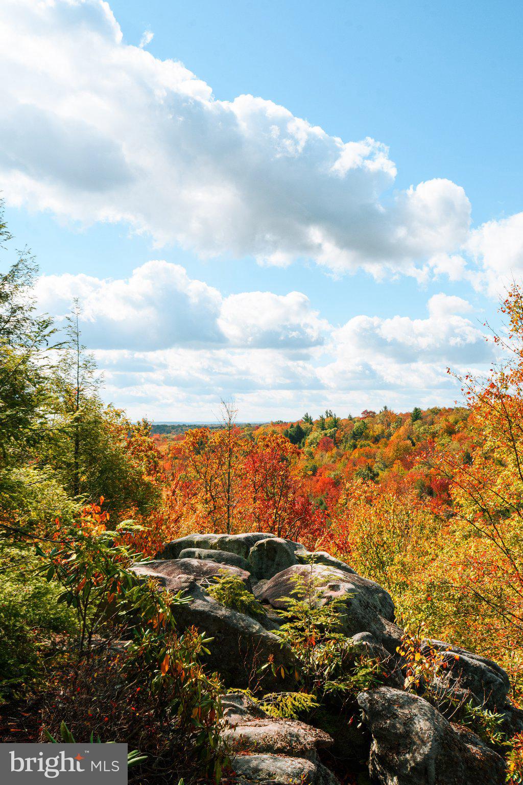 27 Gobbler Run Road Oakland, MD 21550 - Photo 15 of 24 Autumn's vibrant tapestry unfolds.