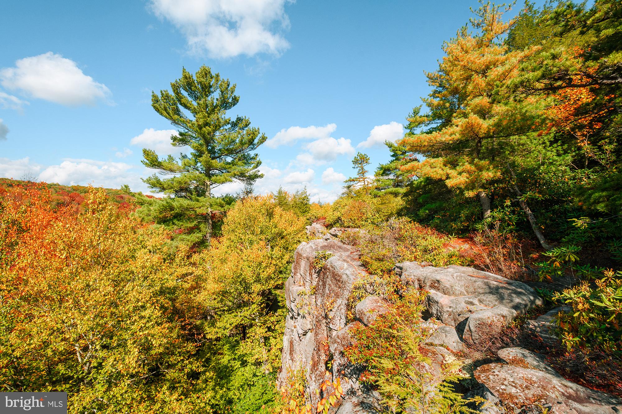 27 Gobbler Run Road Oakland, MD 21550 - Photo 16 of 24 Autumn hues on a rocky overlook.
