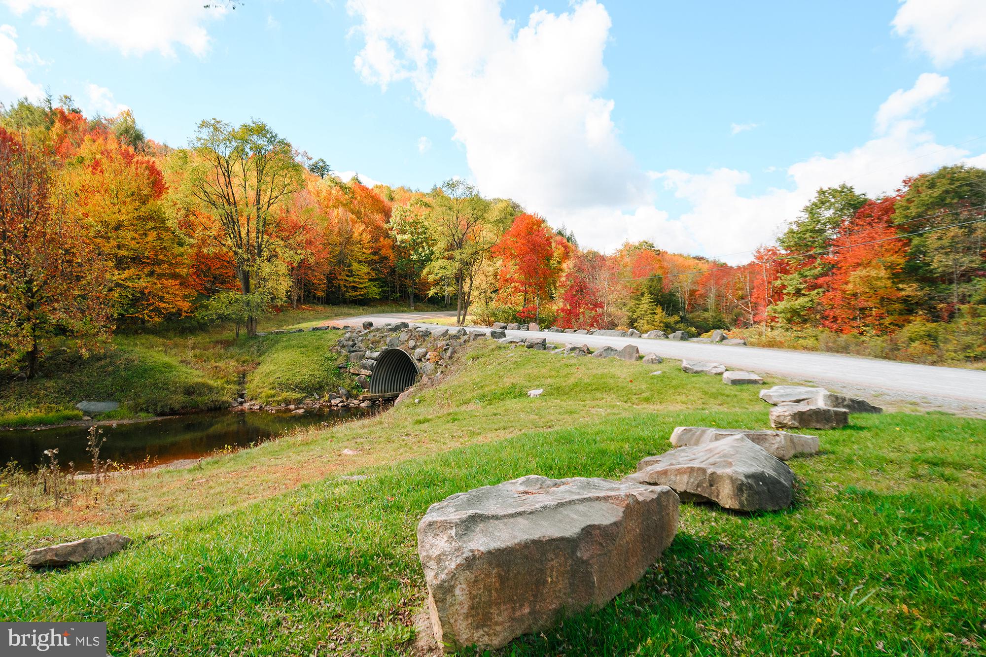 27 Gobbler Run Road Oakland, MD 21550 - Photo 19 of 24 Autumn hues by a tranquil stream.