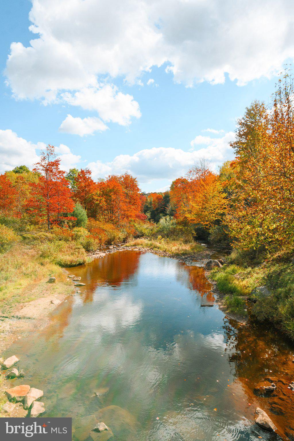 27 Gobbler Run Road Oakland, MD 21550 - Photo 21 of 24 Autumn's vibrant reflection by the stream.