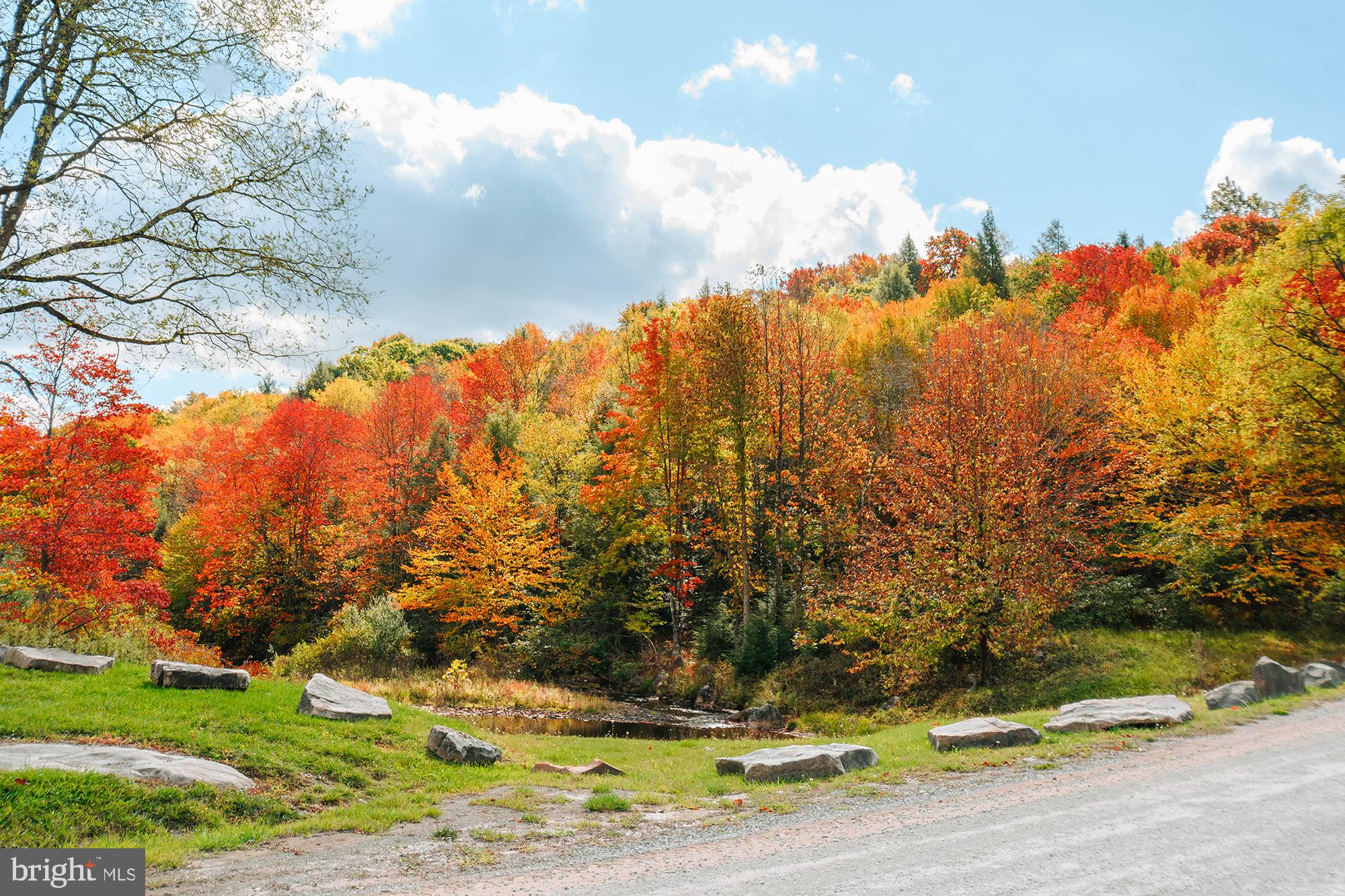 27 Gobbler Run Road Oakland, MD 21550 - Photo 22 of 24 Autumn's vibrant tapestry unfolds.