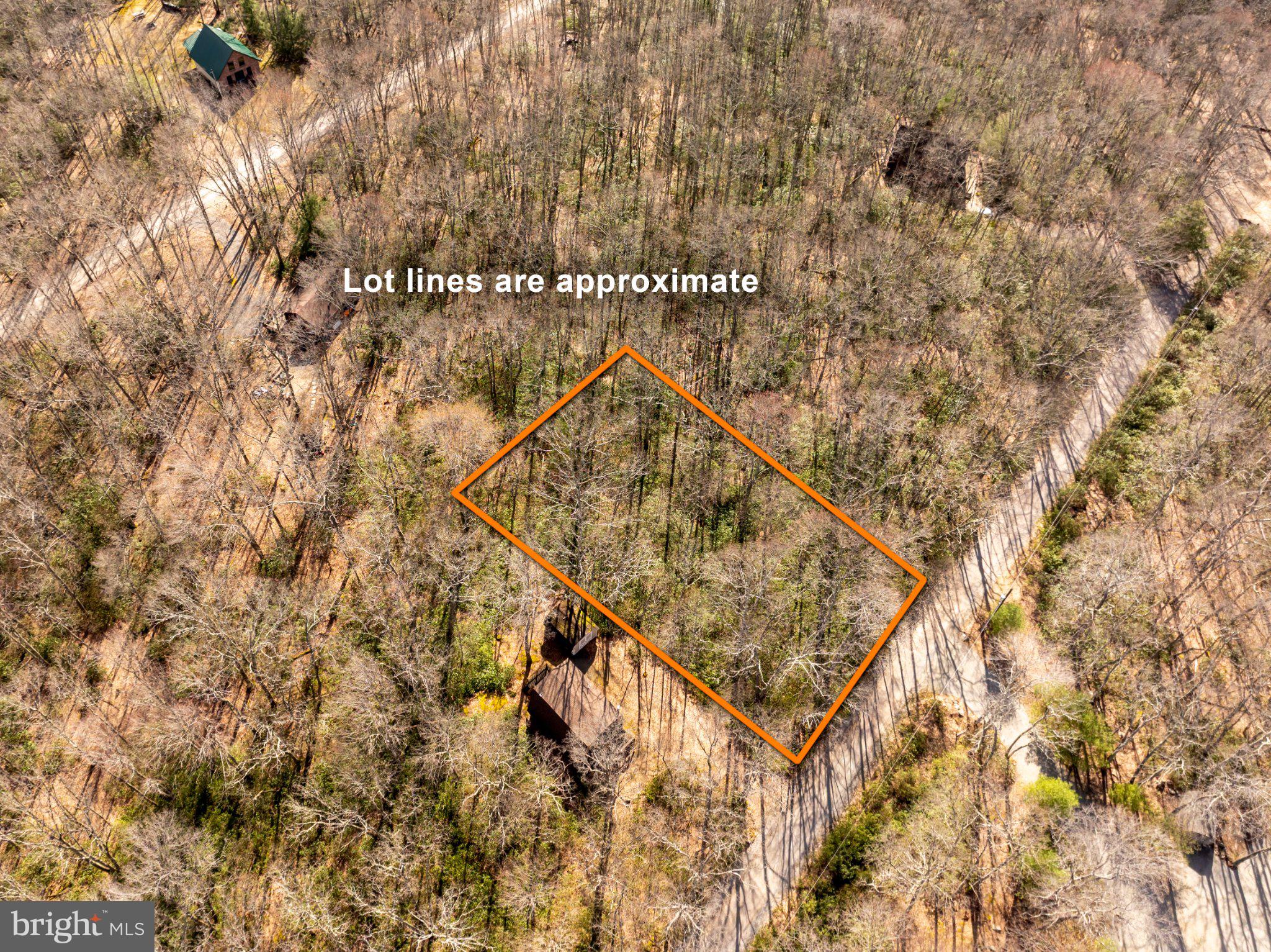 27 Gobbler Run Road Oakland, MD 21550 - Photo 4 of 24 Serene wooded lot for your dream home.