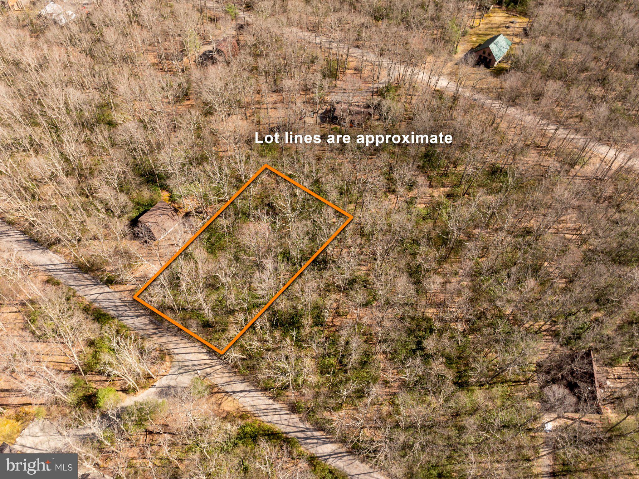 27 Gobbler Run Road Oakland, MD 21550 - Photo 5 of 24 Serene wooded lot awaits your vision.