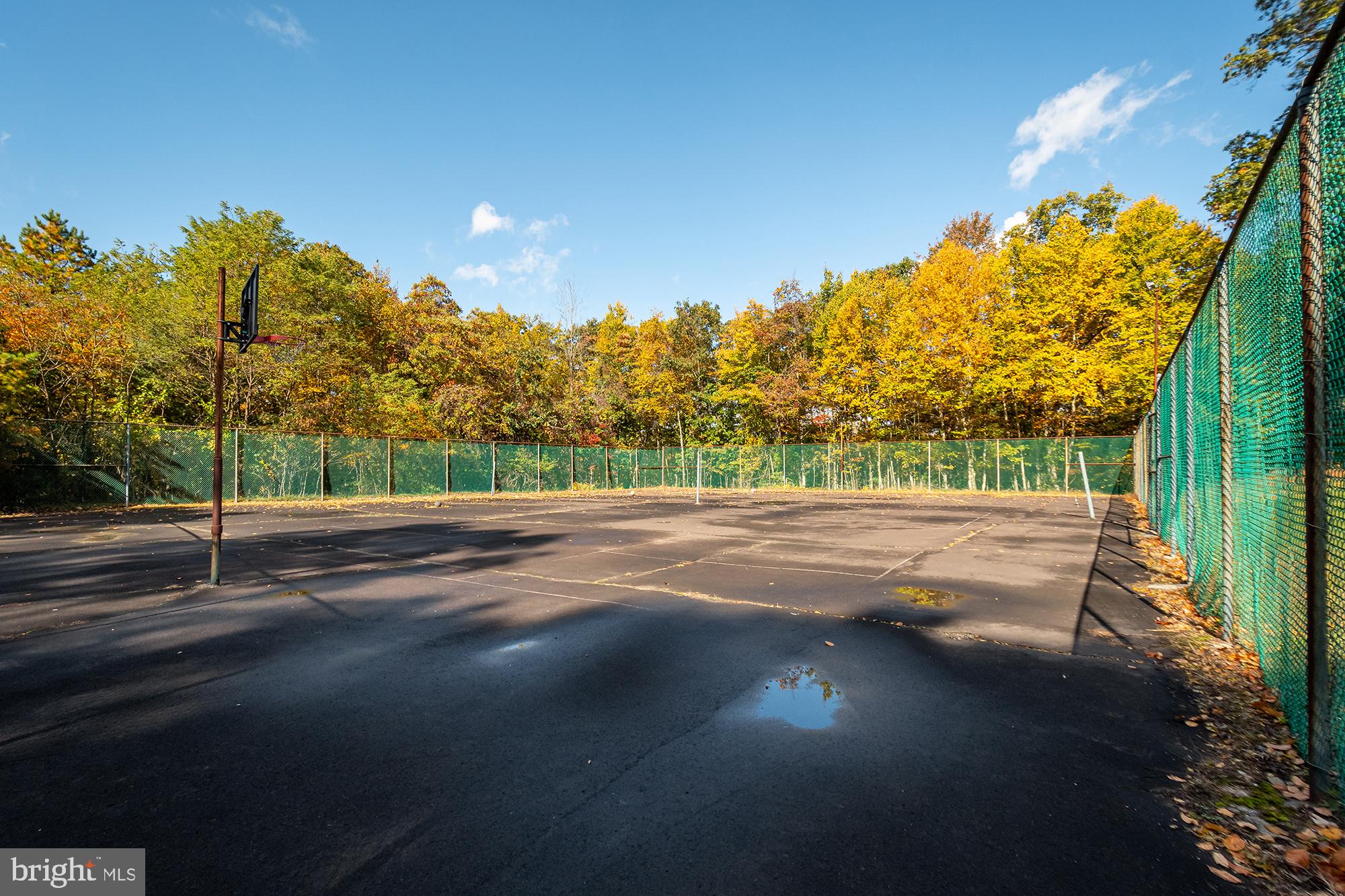 27 Gobbler Run Road Oakland, MD 21550 - Photo 7 of 24 Autumn hues embrace the court.