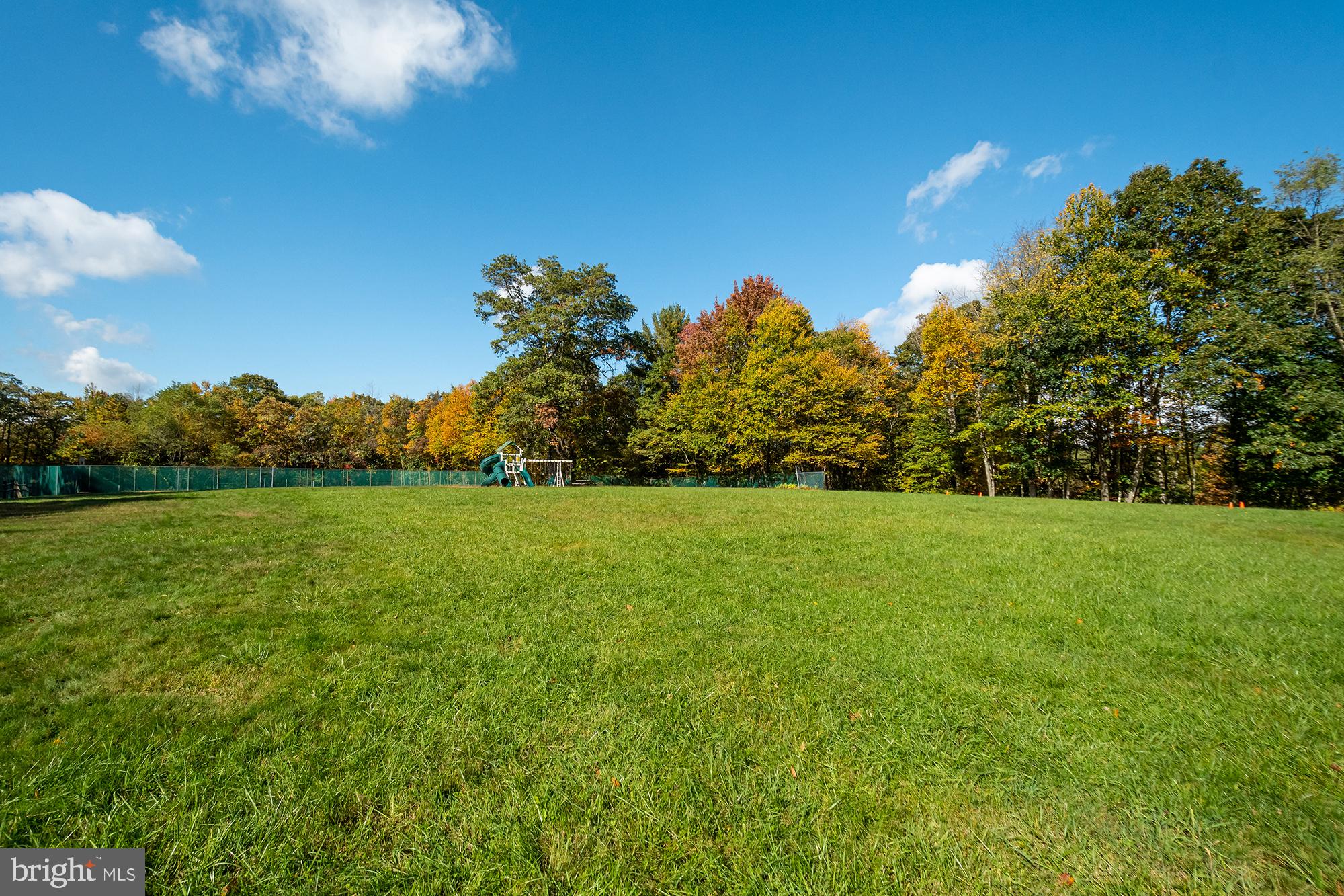 27 Gobbler Run Road Oakland, MD 21550 - Photo 10 of 24 Vibrant autumn hues in open green space.